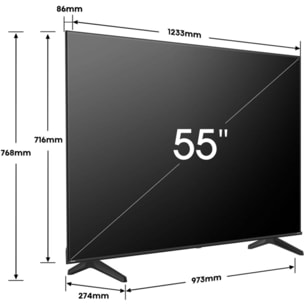 TV LED HISENSE 55E63NT 2024