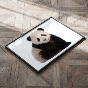 Affiche enfant bébé panda  Affiche seule