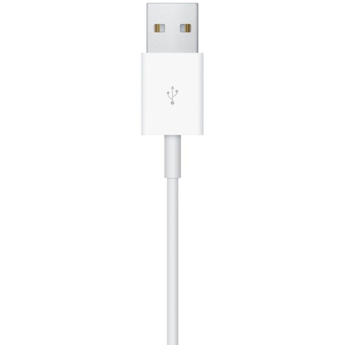 Chargeur induction APPLE magnétique Apple Watch 1m USB A