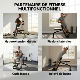 Banc de musculation pliable réglable - banc à abdominaux et lombaires - noir
