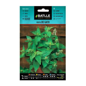 Semillas de Menta de Gato  Batlle