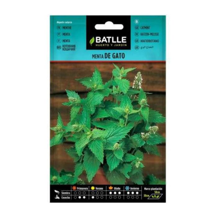 Semillas de Menta de Gato  Batlle