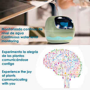 Maceta inteligente Ivy con sensores internos y externos, pantalla interactiva con expresiones faciales, batería de 2000mAh y monitoreo completo de la planta.