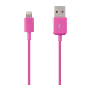 Cable plano IPHONE 5/6/7/8/X 1m