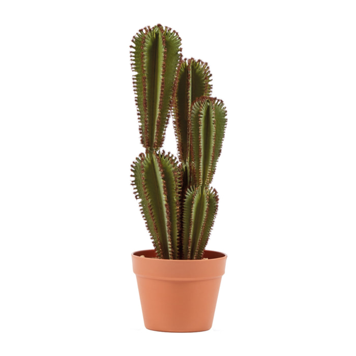 Cactus Artificial Euphorbia Suzannae 57,5 Cm