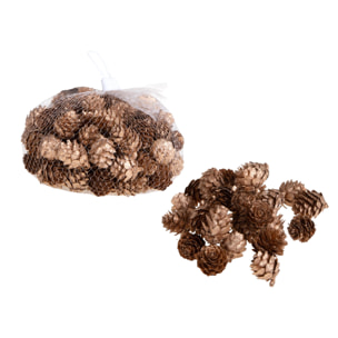 Mini pigne - Pezzi 6 - 15xH5x13cm - Bianchi Dino SpA