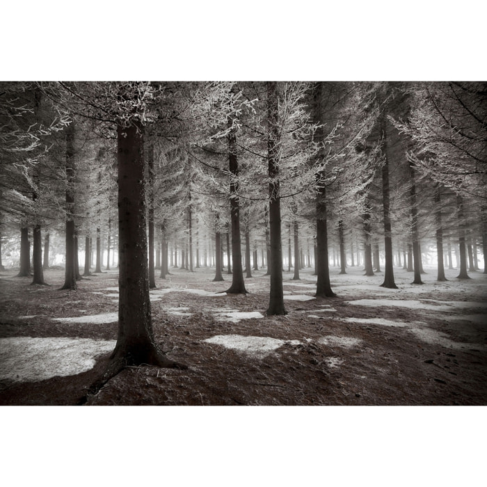 Tableau deco debut d'hiver Tableau plexiglas