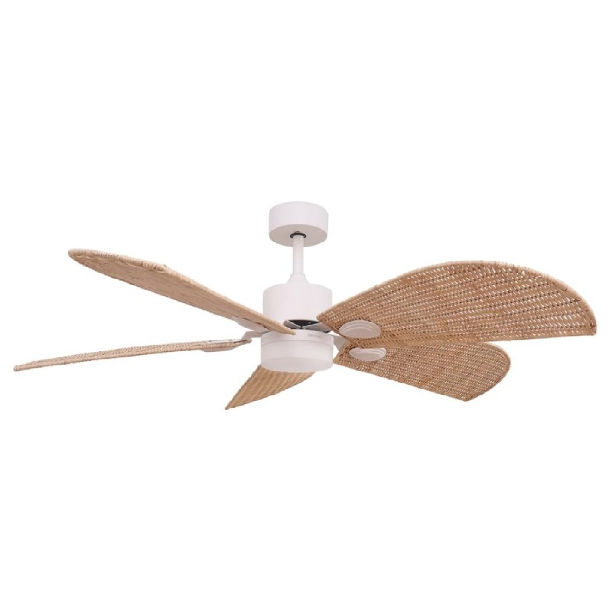 Ventilador de techo con luz EnergySilence Aero 5290 Natural Cecotec