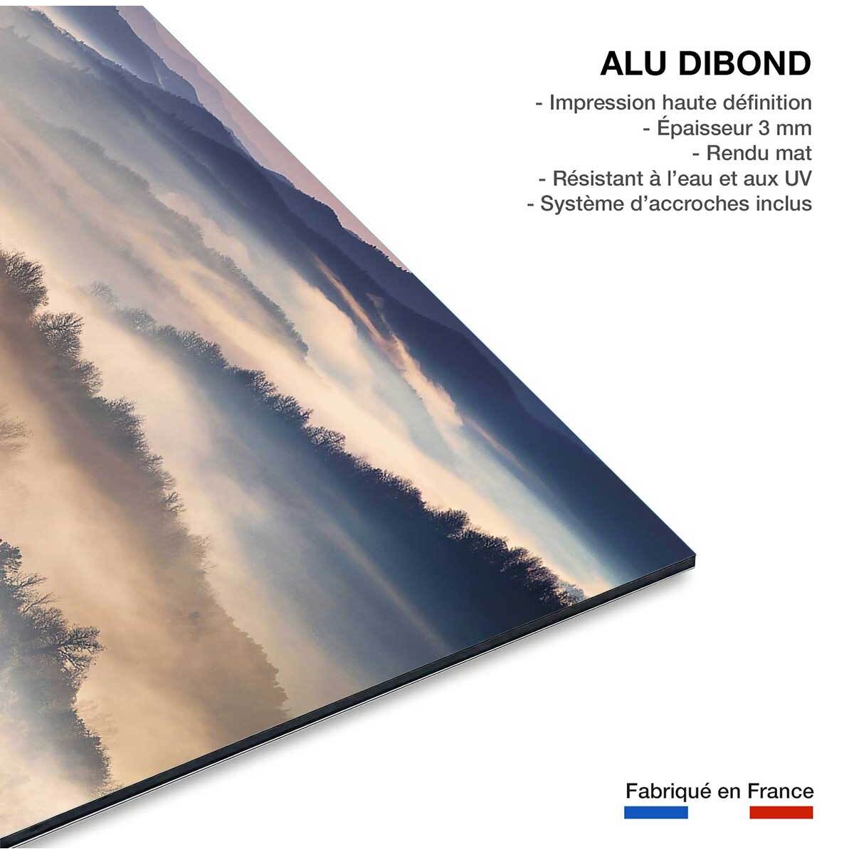 Tableau brume magique Tableau alu Dibond