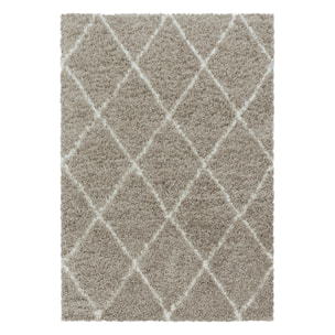 ALVOR - Tapis shaggy à poils longs motif berbère beige