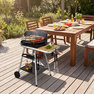 Barbecue charbon PORT GRIMAUD