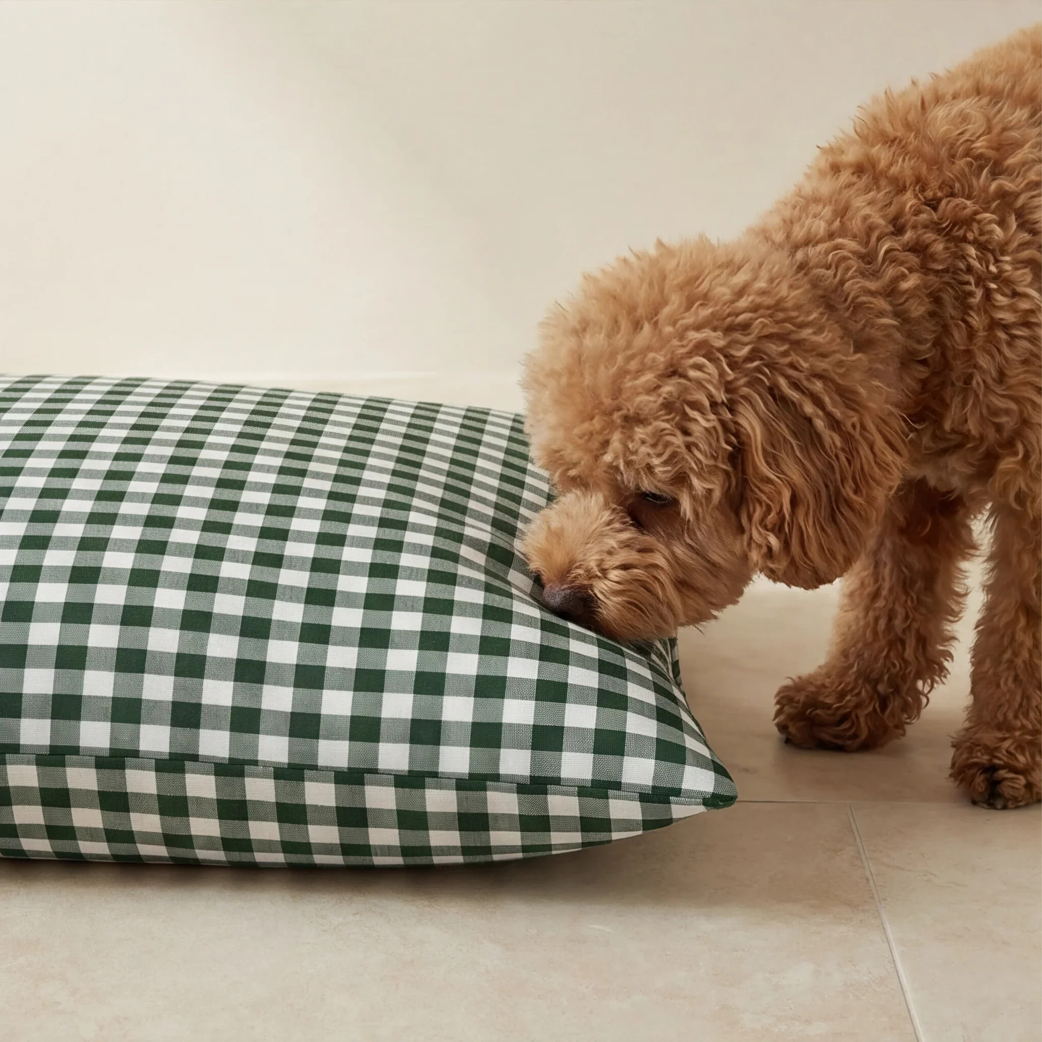 Lit pour animaux déhoussable et antitaches Aielo Bouteille