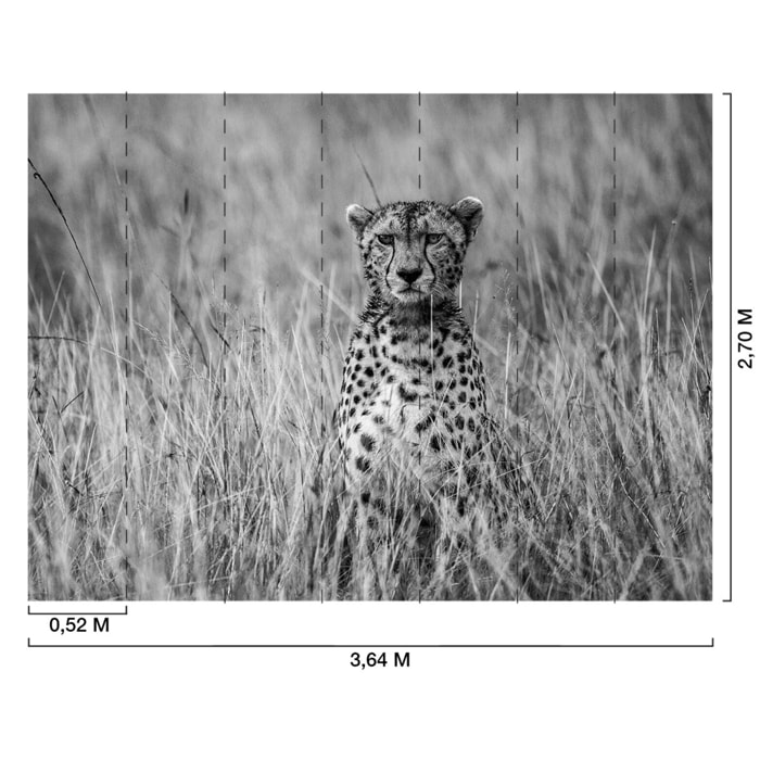 Papier peint guépard dans la savane Intissé