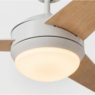 Forlight Ventilador IP20 Windy E27 15W Blanco Blanco