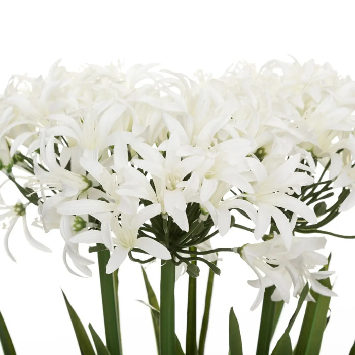 Agapanthe artificielle H66 cm