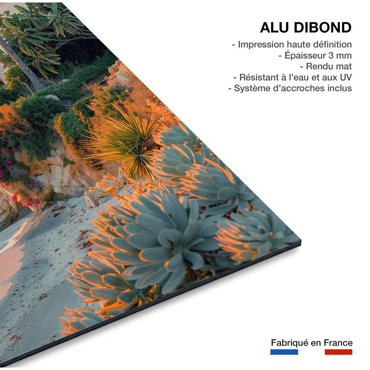 Tableau décorative maison sur laguna beach  Tableau alu Dibond