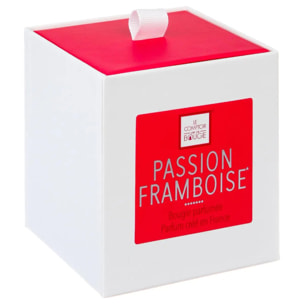 Bougie parfumée "Elea" - passion framboise 190g