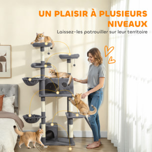 Arbre à chat grande taille H.174cm plateformes hamacs jouets griffoirs grattoirs peluche gris