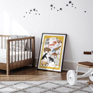 Affiche enfant animaux d' australie  Affiche + cadre en bois - Noir