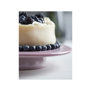 Présentoir gâteaux Gastro