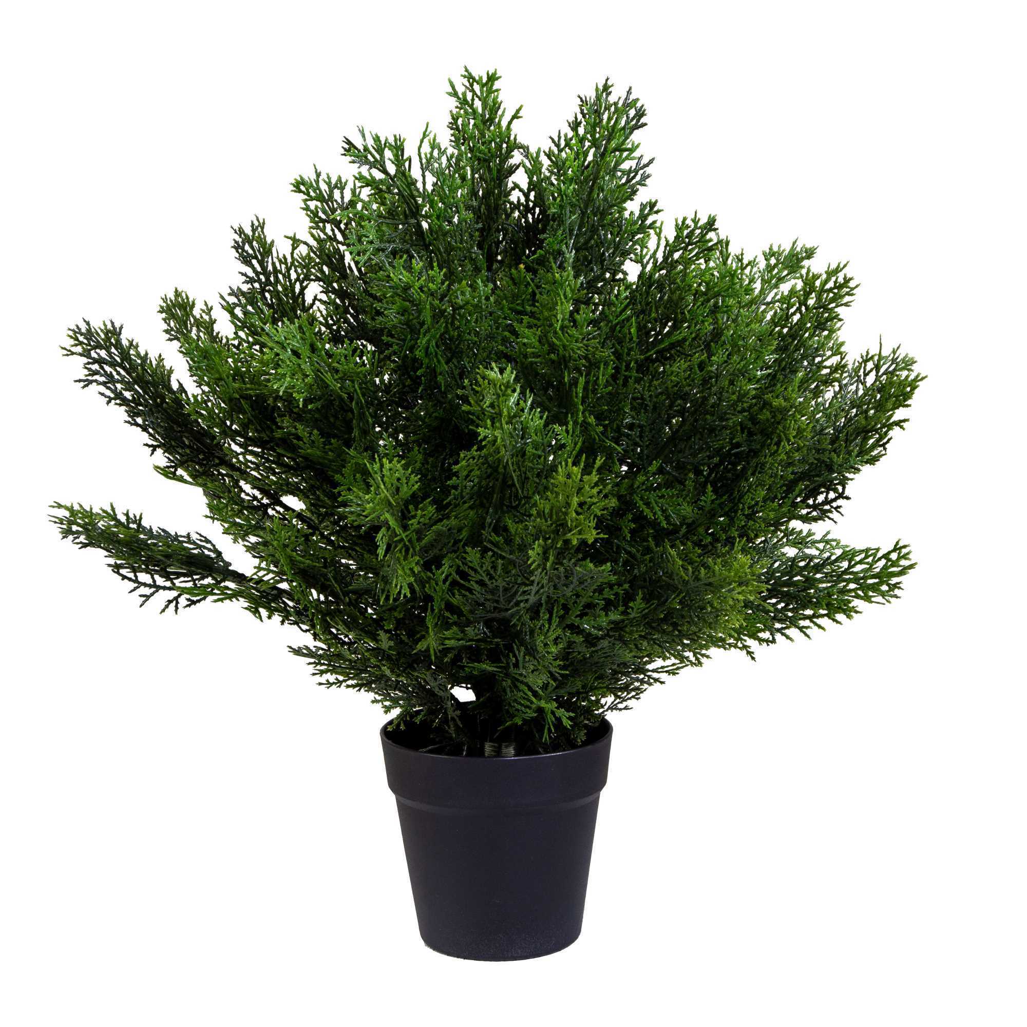 Pianta artificiale Cedro Vacchetti in plastica cmh50