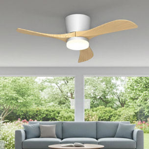 Ventilateur Plafond LED ALIYA D132CM