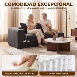 HOMCOM Sofá de 2 Plazas de Chenilla, Sofá de Salón, 2 Almohadas, Asiento con Muelles, No Requiere Montaje, para Dormitorio, Despacho, 171,5x91,5x83 cm, Gris Oscuro