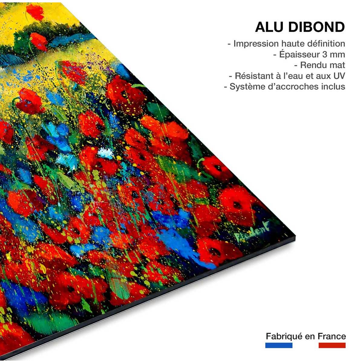 Tableau fleurs champ de coquelicot en provence Tableau alu Dibond