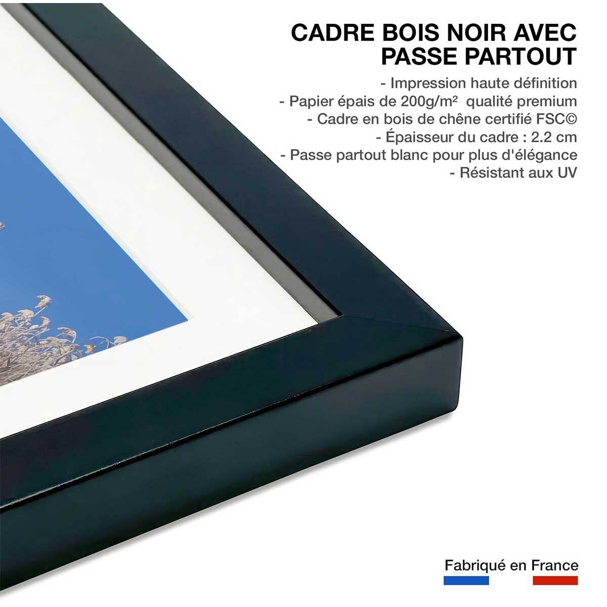 Affiche cygnes dans le givre matinal Affiche sous cadre noir