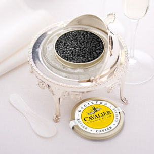 Caviar Pacific Royal White Esturgeaon - 50g - Italie