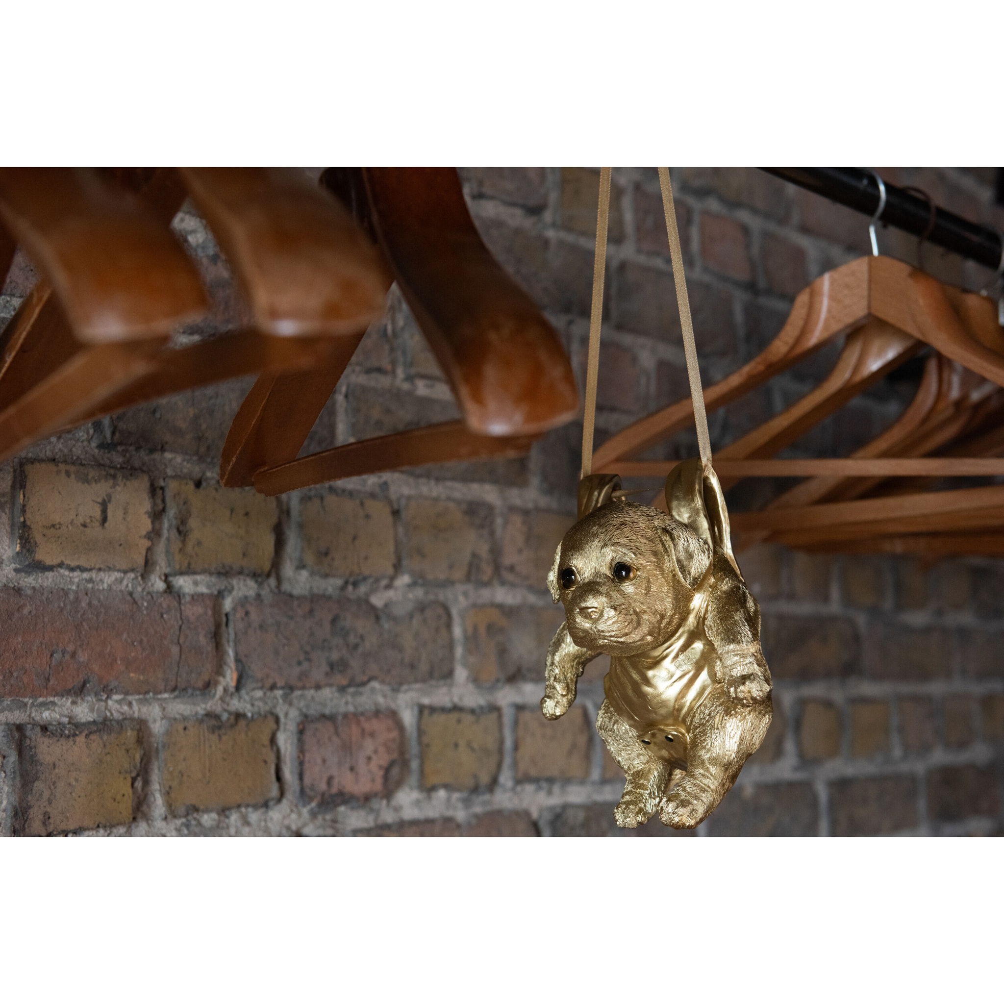 J-Line suspension Chien - plastique - or - lot de 3