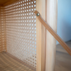 Commode en rotin et bois massif, 2 portes abattantes - Alata