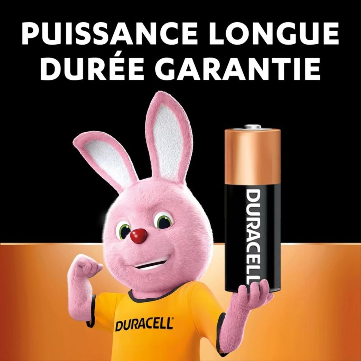 Pile DURACELL MN21 2 piles A23