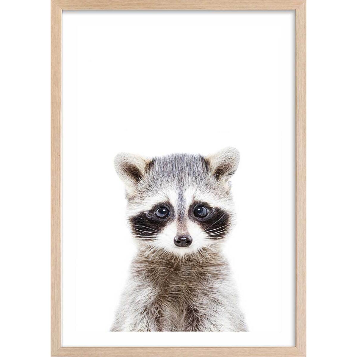 Affiche enfant bébé raton laveur  Affiche + cadre en bois - Chêne