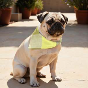 Pack de 2 bandanas pour animaux Bath Vert