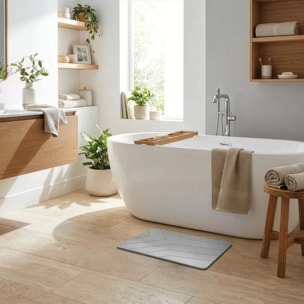 TAPIS DE BAIN DIATOMITE ALAN 60X39CM MSV