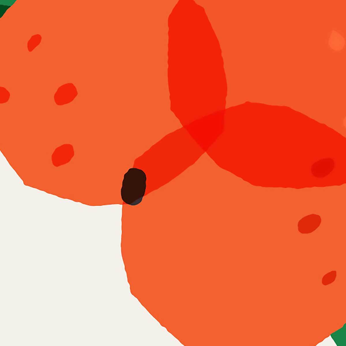 Tableau Oranges de Californie Toile imprimée