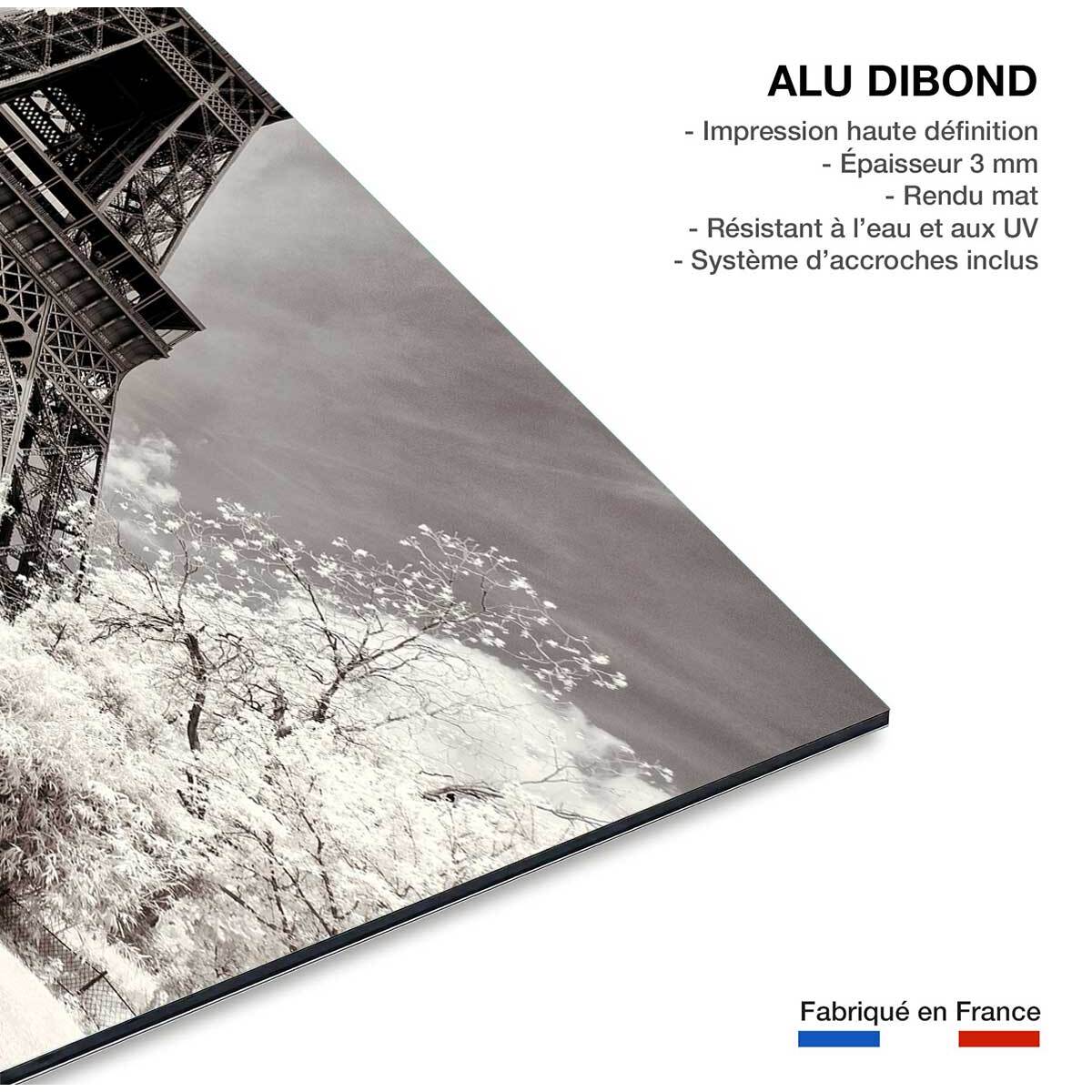 Tableau paris winter white la tour eiffel Tableau alu Dibond