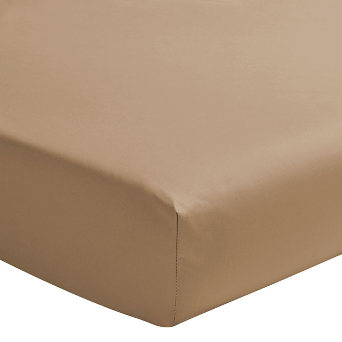 Drap housse uni en percale de coton, tête et pied relevables, PREMIÈRE, Beige
