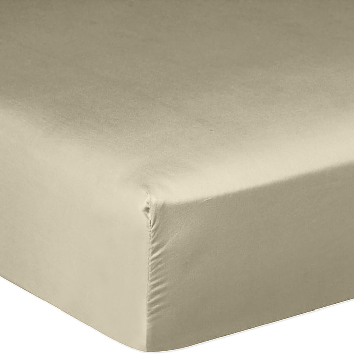 Drap Housse - Bonnet:30cm 100% Satin De Coton lavé 105 Fils Beige