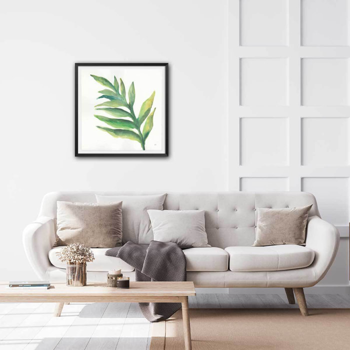 Affiche Plante aloe watercolor Affiche + cadre en bois - Noir