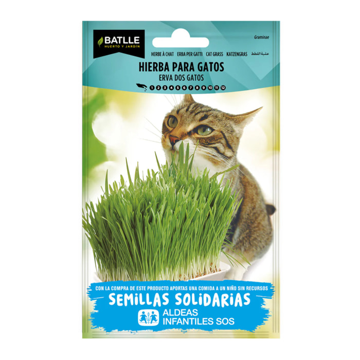Semillas de Hierba para gatos (gramínea) BatlleBio ALDEAS INFANTILES