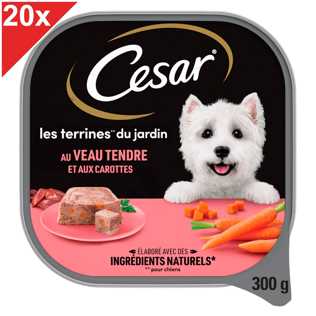 CESAR Barquettes au veau tendre et aux carottes en terrine pour chien 20x300g