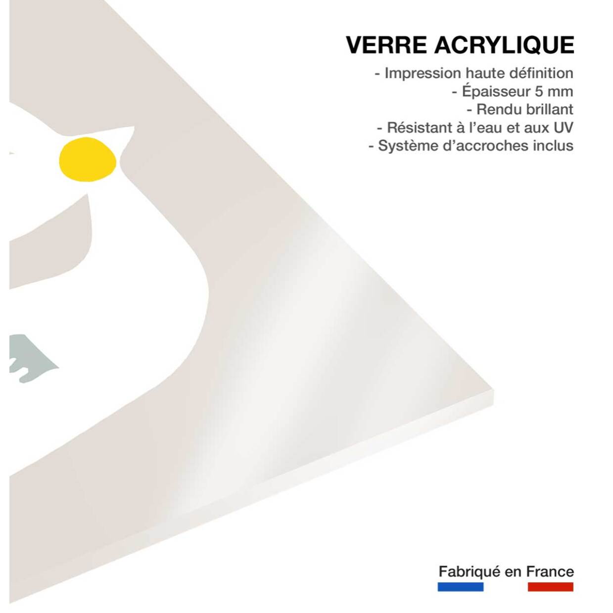 Tableau love birds Tableau plexiglas