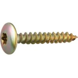 Vis MUSTAD Panelvit FC Tête de penture - Torx - Ø6x100mm - Chromitting - Boite de 100 - PV312A601000C8C