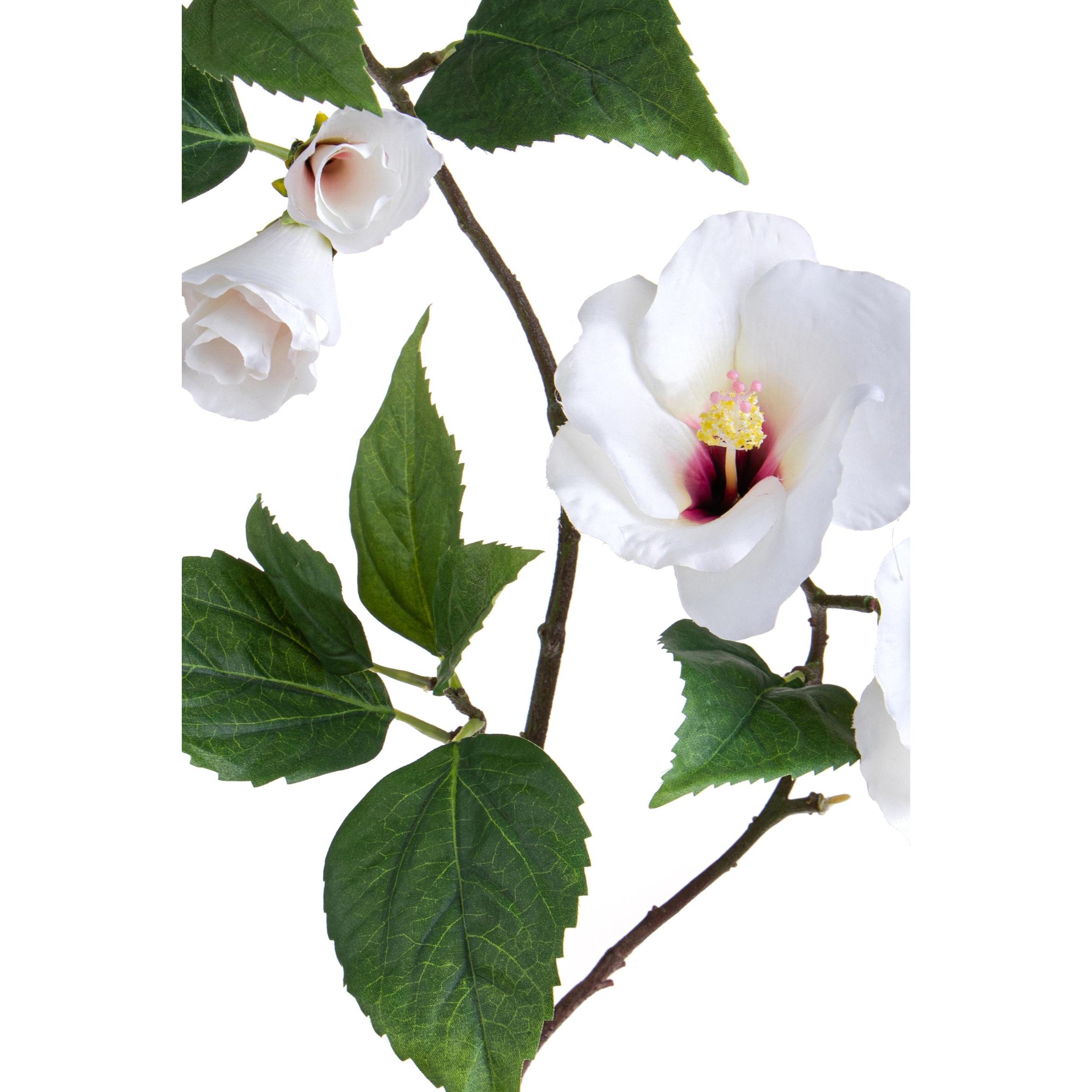 Hibicus Composto Da 2 Fiori. Altezza 76 Cm - Pezzi 3 - 30X76X35cm - Colore: Bianco - Bianchi Dino - Fiori Artificiali