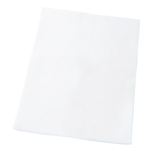 AEG Filtro de aspiradora AEF54