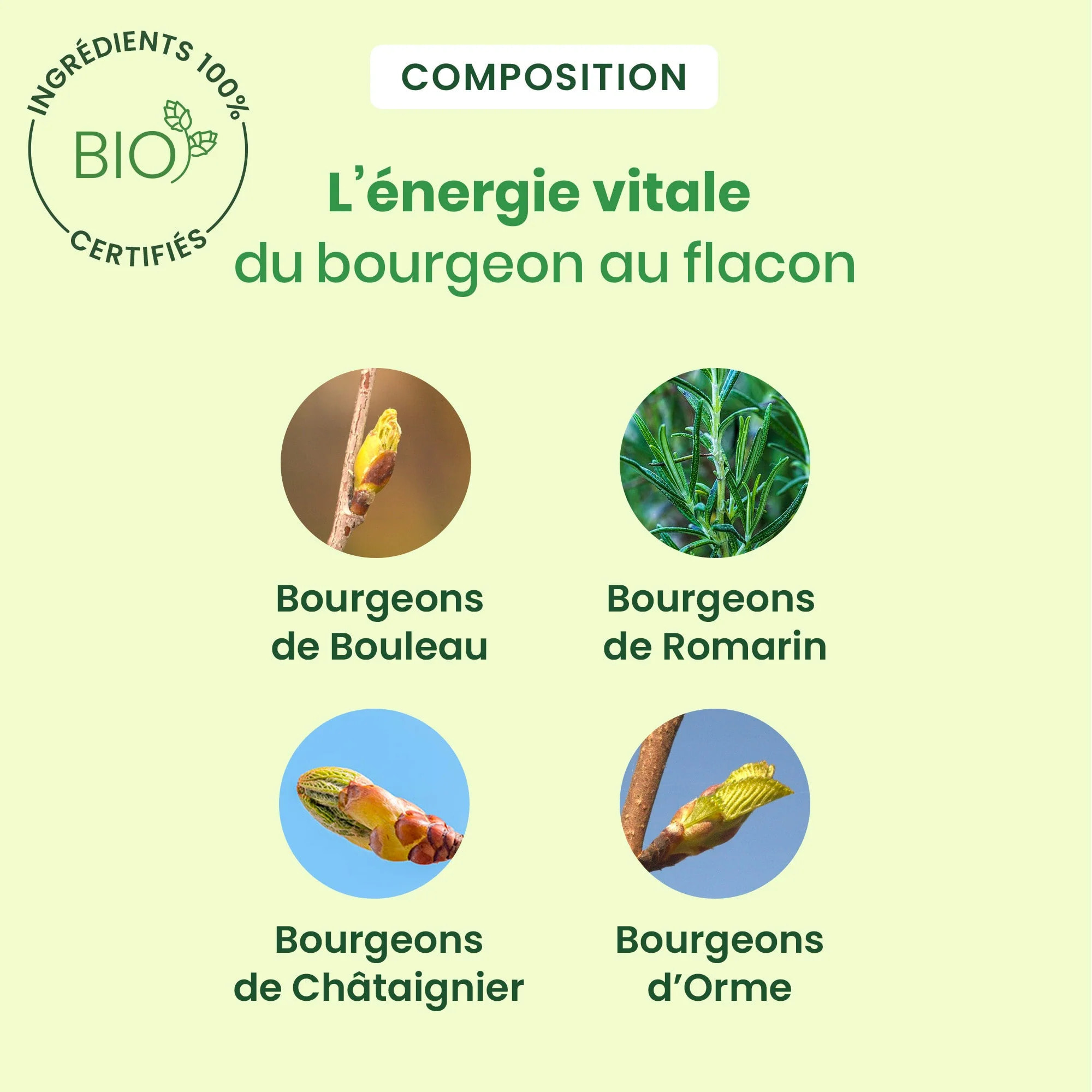 Herbalgem- Duo pack Détox express - Bio - PROMO