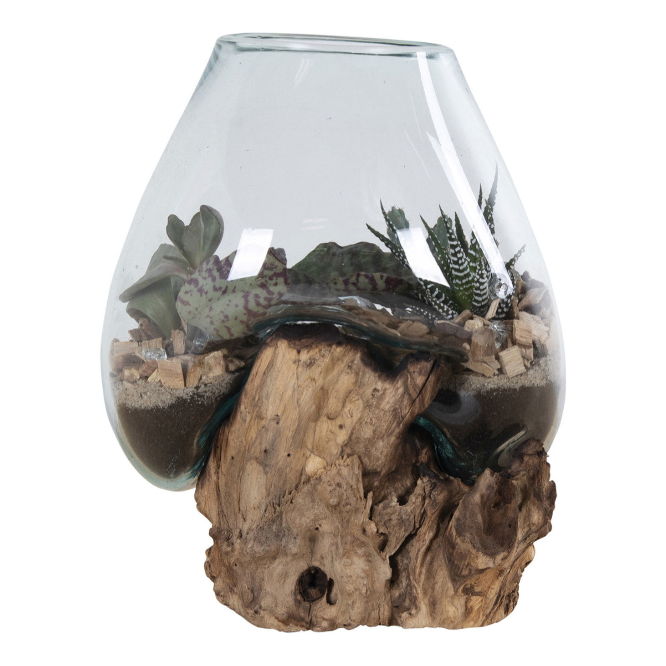 Terrario San Marino in vetro a cupola su base in radice di teak 18x20 cm