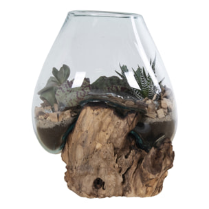 Terrario San Marino in vetro a cupola su base in radice di teak 18x20 cm